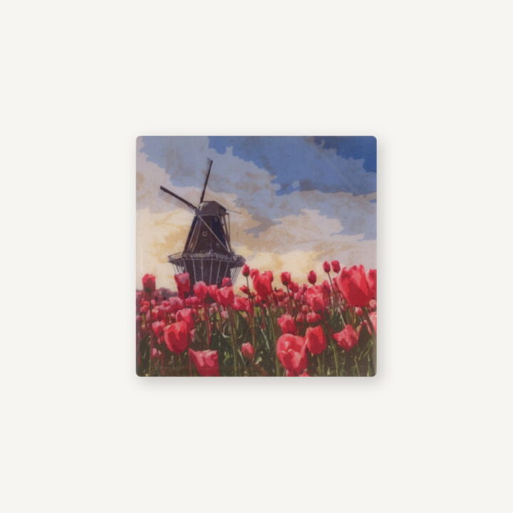 Holland Molen en Tulpen