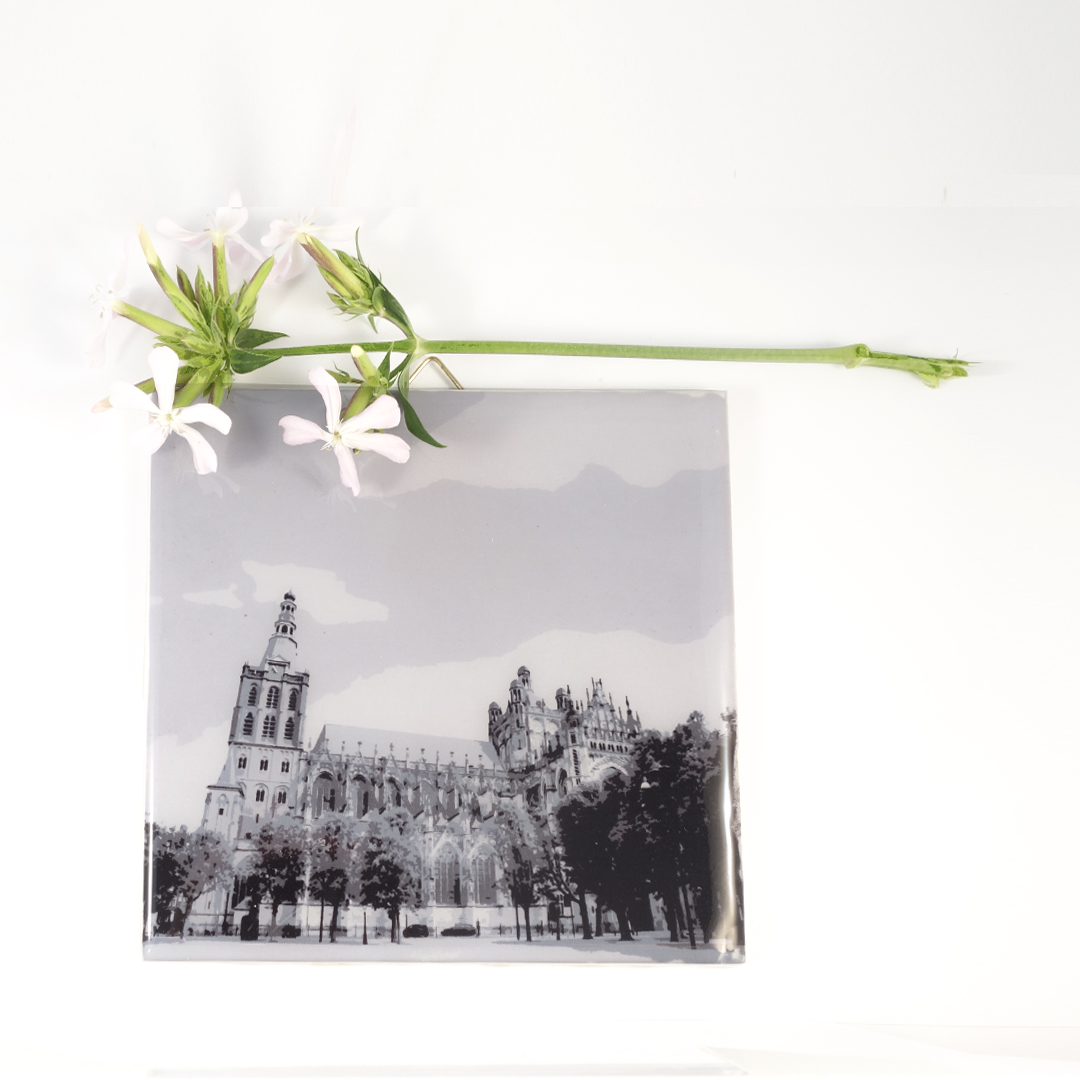 Den Bosch Sint-Jan Zwart-Wit - Afbeelding 5